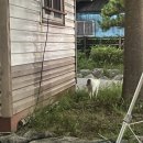 사하구 다대로320번길 이미지