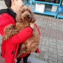 전북은행 맞은편 피플워치