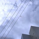 주식회사 다보