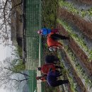 흙진주포도체험마을 이미지