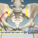 수완체형교정원