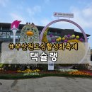 부산 가볼만한 곳 원도심 활성화 미식 축제 택슐랭 부산역 방문 후기