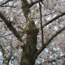 드랑드랑 이미지