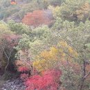 돌산펜션 | 여수 돌산 향일암 산속펜션 1박후기ㅣ돌산힐링펜션