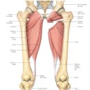 디오필라앤핏 오목교점 이미지