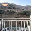 데이파크약국 이미지