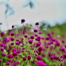 가야농장 이미지