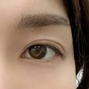 바이미 | 문정 속눈썹 연장 속눈썹펌 맛집 온뷰티바이미 (위치/가격/후기)