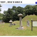 경안군 및 임창군묘 | 고양 덕양구 경안군 및 임창군 묘에 가면..