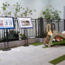 괴정한신아파트 이미지