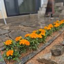 야미하우스 이미지