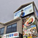 강성물회 회 구이 | 거제도 강성물회 솔직후기☞소노캄거제 근처 10분 거리, 비 오는 날에도 만석이던 물회 맛집.