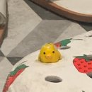 신당스크린골프 이미지