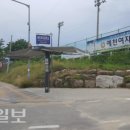예천여자중학교 앞 이미지