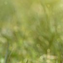 [지방교회] 아침에 일찍 일어나기 이미지