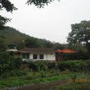 백마 농장2 이미지