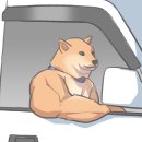 스테이 계절 이미지