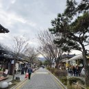 전주일품콩나물국밥 | 전주 여행 전주 한옥마을 맛집 콩나물국밥 현대옥 후기