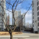 대성S공인중개사사무소 이미지