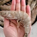 (주)유니온씨푸드 네이버블로그