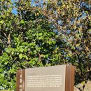 와흘본향당 이미지