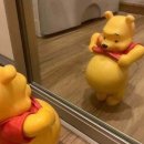 돼지우리 | 영주 맛집 돌아온 돼지우리🐽