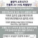 Y갤러리 이미지