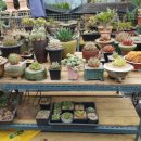 장금농장 이미지