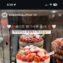 성심당 신상 🍓화이트 딸기시루🍓 이미지