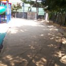 대구장성초등학교 이미지