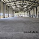 엠티브이1로 이미지