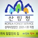 백두표고 이미지