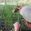 남기농장 이미지