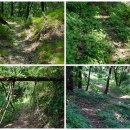 상전면행정복지센터 이미지