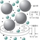 시대전자 이미지