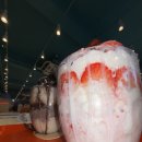 스테이선선 이미지