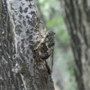 해오름도서관 이미지