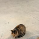 양양비치펜션 이미지