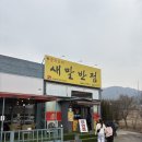 새말반점