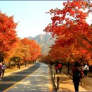 세교동사무소 앞 이미지