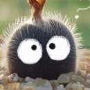 영기농장 이미지