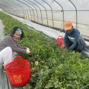 달콤한향기 이미지