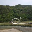 수하리 눌언동 고동골 펜션 입구 | 강원도 홍천 계곡 앞 정남향 토지 매매 1253(379평) 1억 2천만