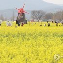 낙동강변 축구장 2 이미지