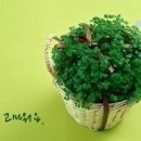 유영철 농장 이미지