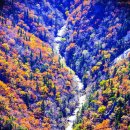 그루터기 이미지