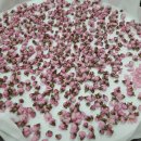 꽃차 소믈리에: 취미반 이미지