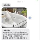 당감동 미용실 | 부산 당감동 강아지미용실 왈로하그루밍 위생미용 목욕 후기