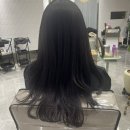 216 | 세리헤어216 클리닉 후기