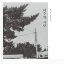 여수사랑 티스토리